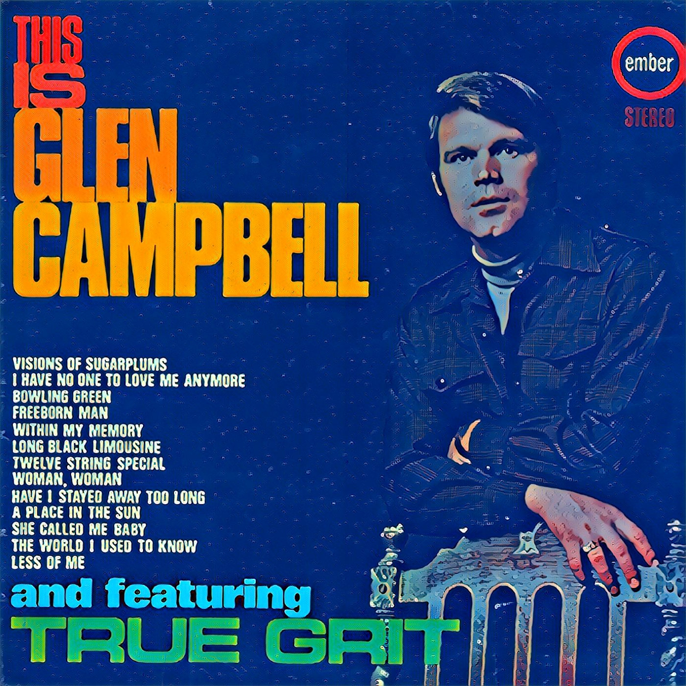 JUNK BOX JURY | The Magic Roundabout | Podcast #82 | THIS IS GLEN CAMPBELL