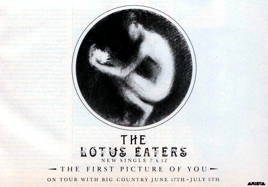 The Lotus Eaters | “The First Picture Of You” | Sylvan-Arista
